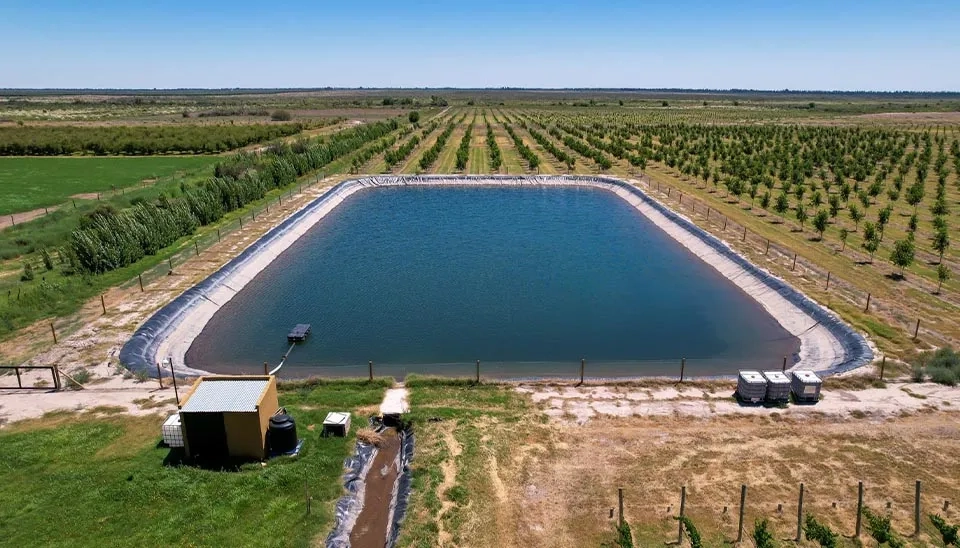 Large, lined Farm Pond (Excavated type) collecting runoff water for irrigation and Groundwater Recharge.