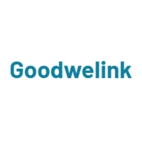 goodwelink Water Softener System